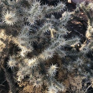 Meet your Posher, Kerry-ann